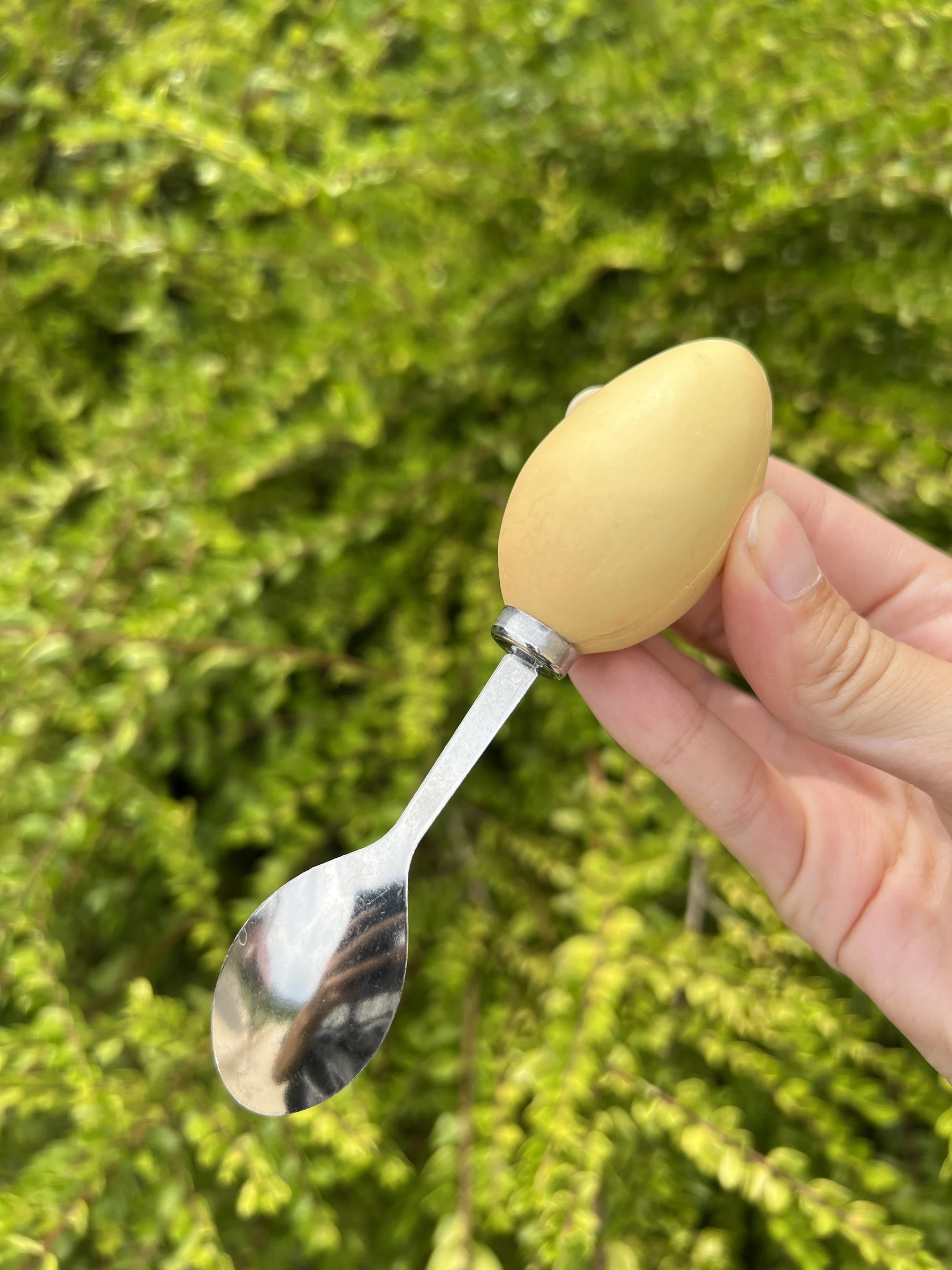 Resine kippenschep met 6 kleine vintage eellepels – photo 14